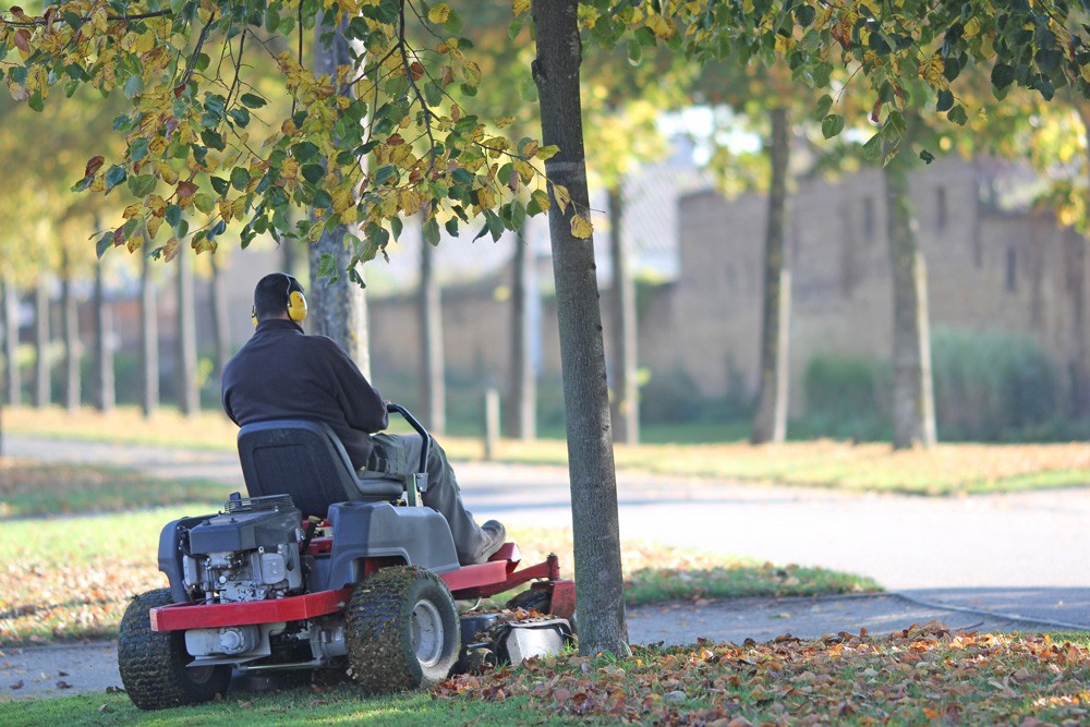 Service espace vert